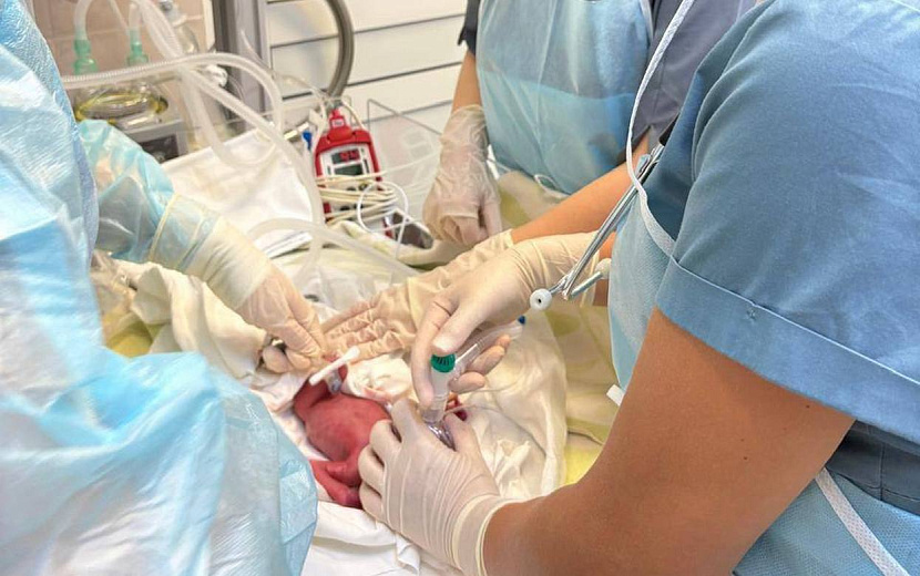 Фото: Александр Бречалов