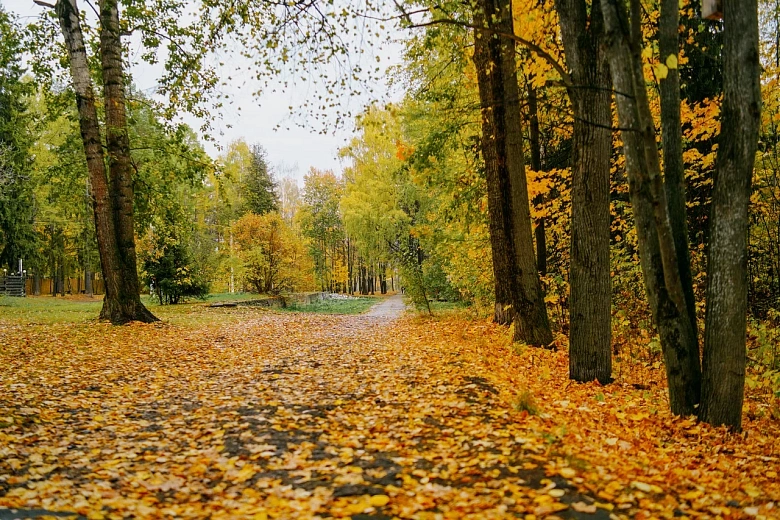 Архив редакции