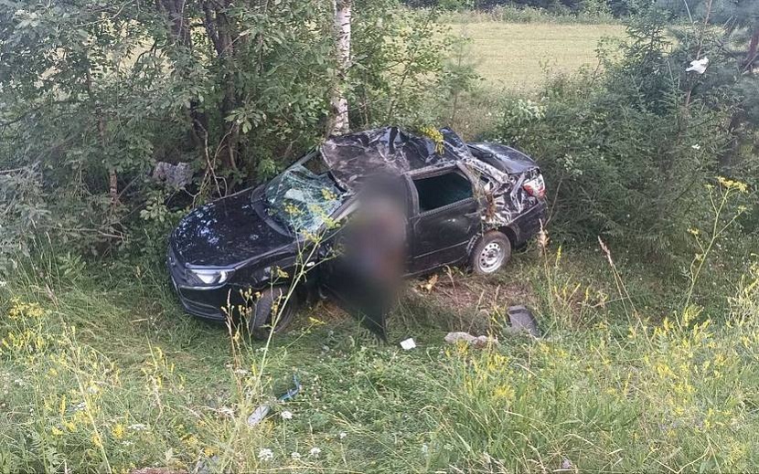 Фото: Госавтоинспекция Удмуртии