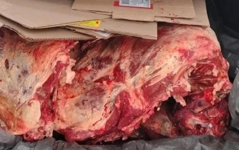 Фото: пресс-служба Управления Россельхознадзора по Кировской области, Удмуртии и Пермскому краю