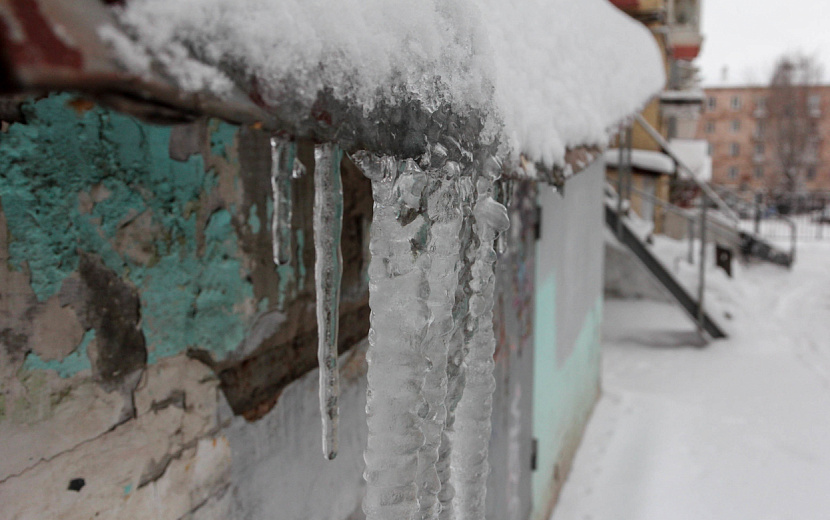 Фото: Л. Селезнева