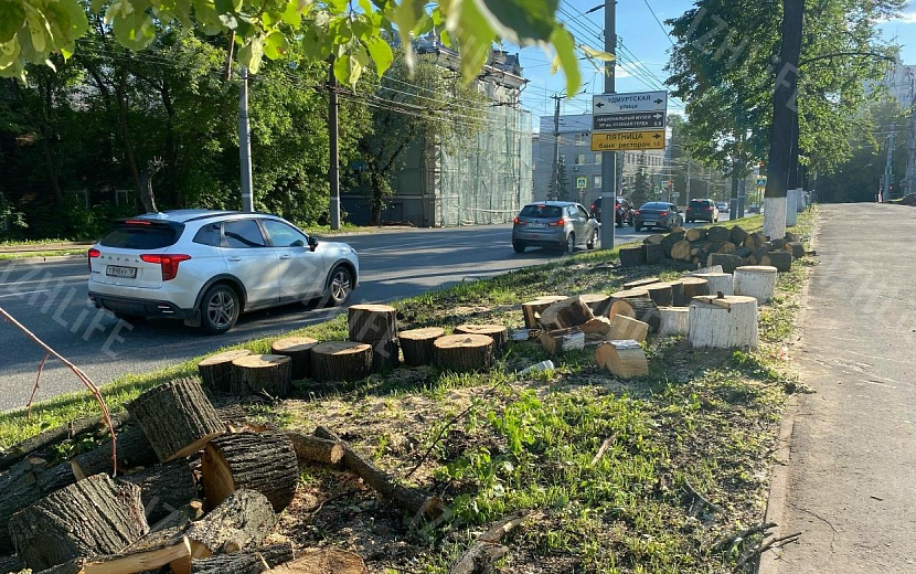 Фото: Елизавета Четверикова