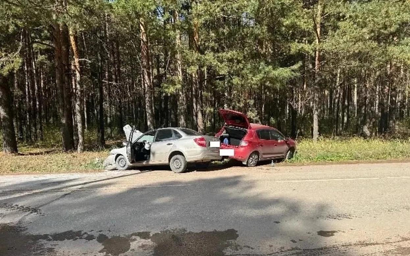 Фото: Госавтоинспекция Удмуртии