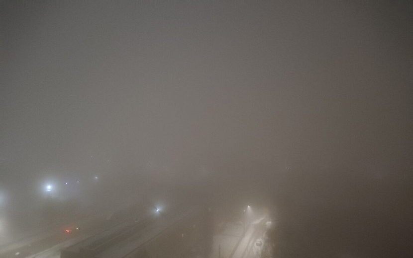 Фото: Таня Трушкова