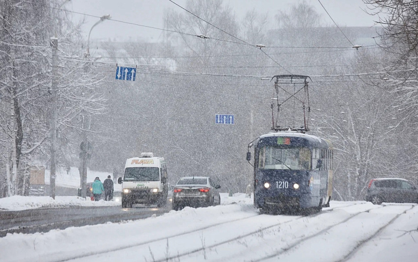 Фото: Сергей Грачев