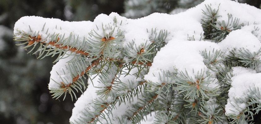 Константин Ившин