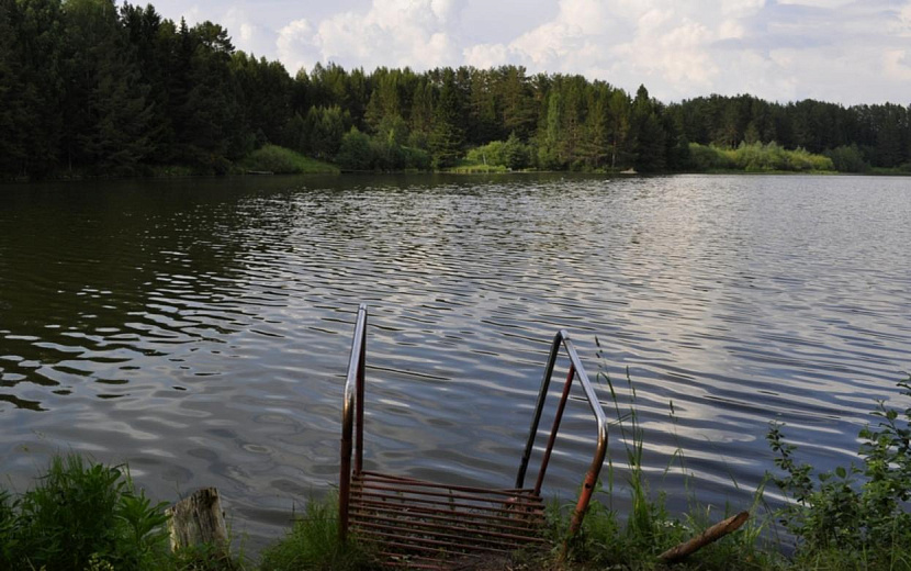 Фото: Алена Селезнева