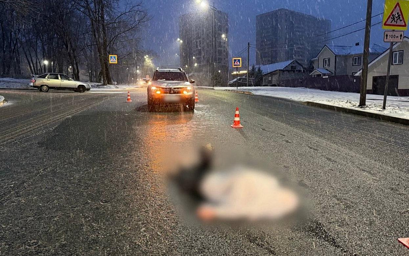 Фото: Госавтоинспекция Удмуртии