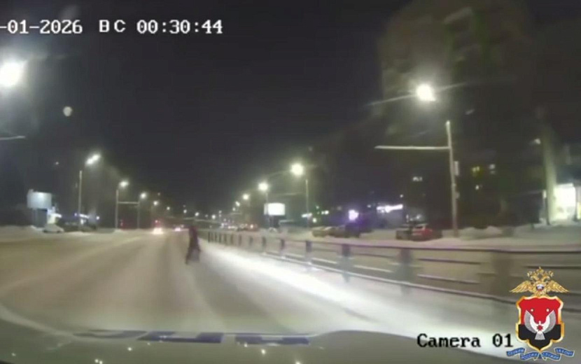 Фото: пресс-служба МВД по Удмуртии