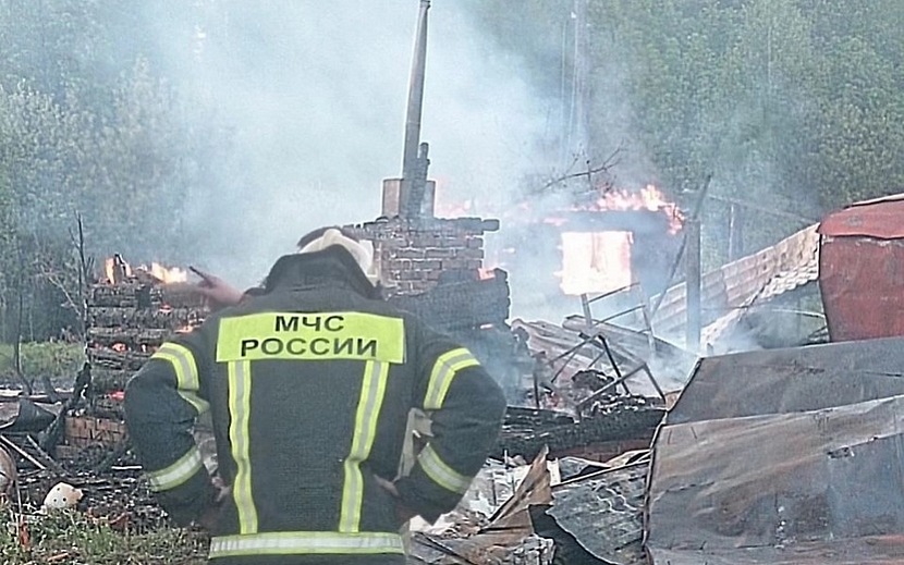 Фото: Юлия Мушегова