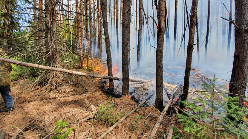 Фото: архив редакции 