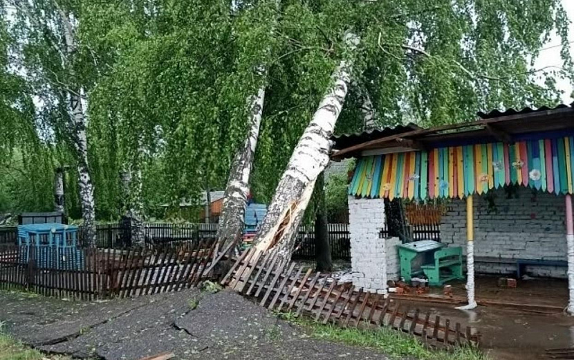 Фото: Юрий Новойдарский