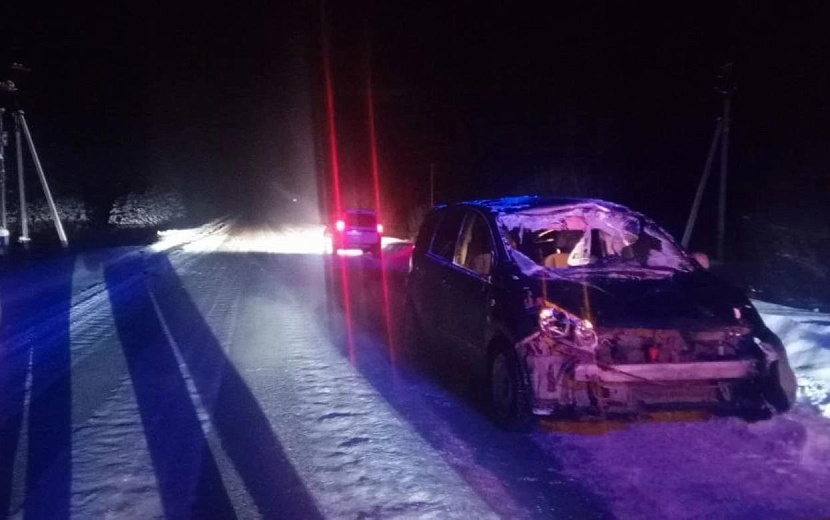 Фото: Госавтоинспекция Удмуртии