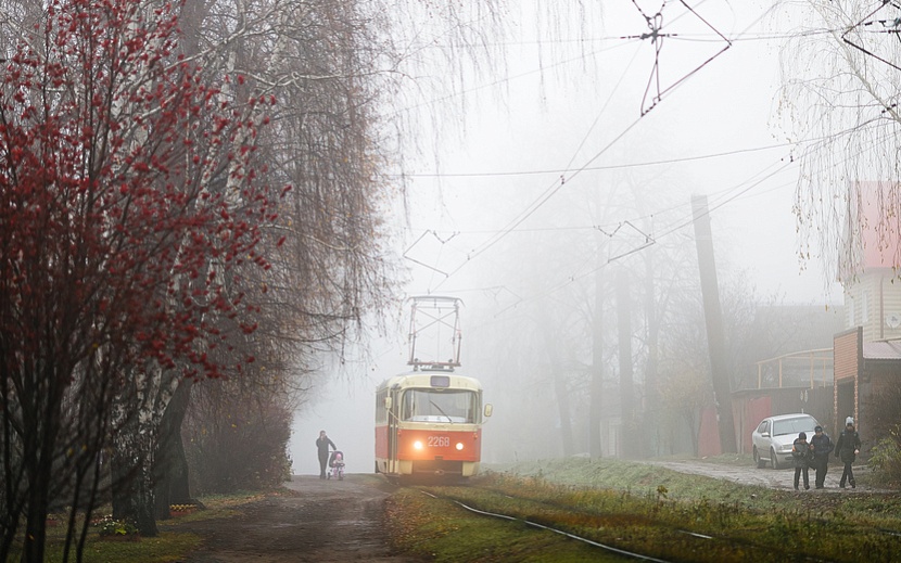 Фото: Амир Закиров