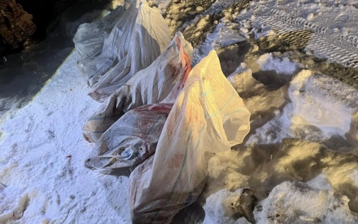 Жителя Удмуртии подозревают в незаконной охоте на лося