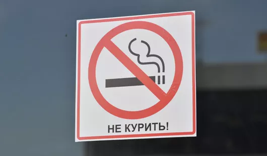 Анастасия Малышева
