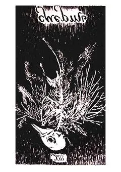 XIII аркан Смерть (Перевернутое положение)