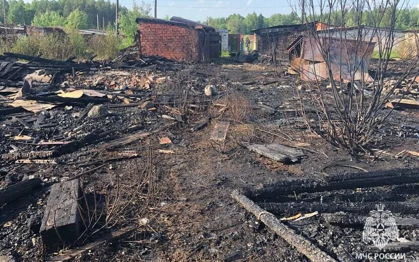 Огонь уничтожил 15 бесхозных построек в гаражном кооперативе в Ижевске