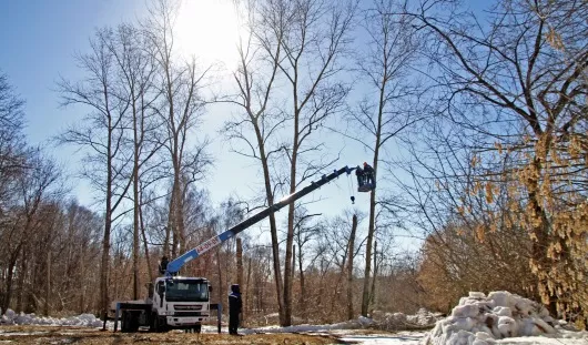 Олеси Молчановой, архив редакции