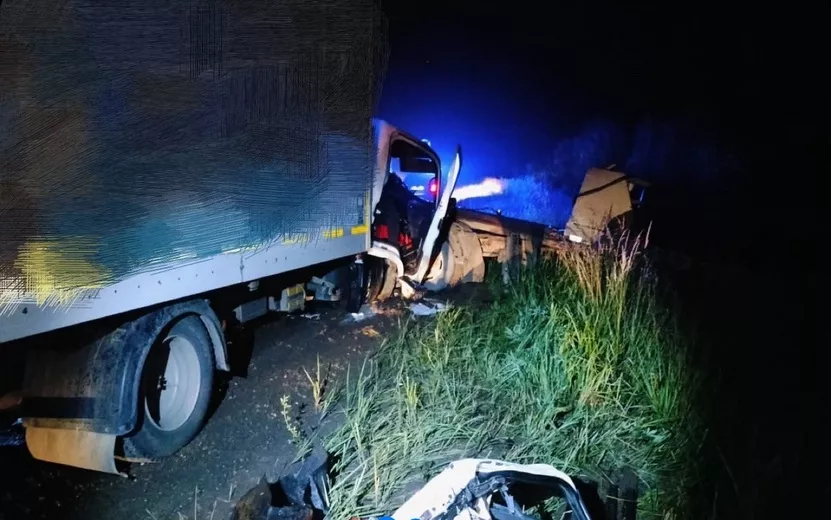 Водитель грузовика погиб в столкновении со стоящим вдоль дороги эвакуатором в Удмуртии