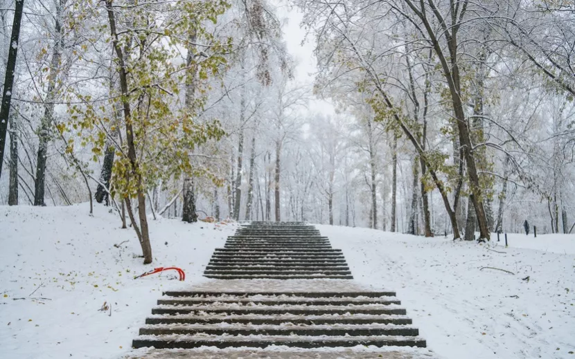 Работы в парке продолжаются. Фото: Маша Бакланова