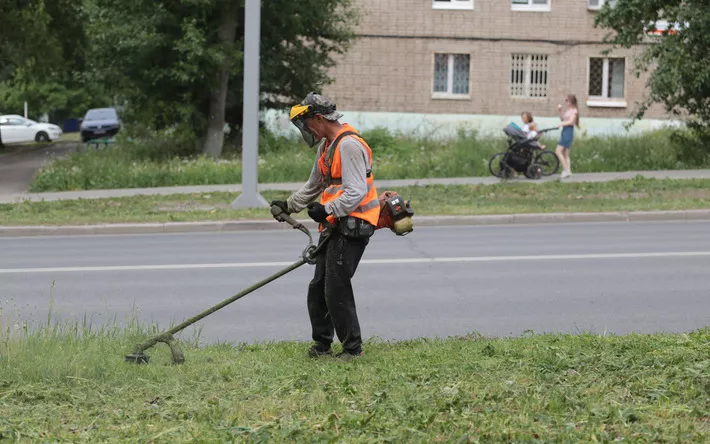 В Ижевске покосили более 800 тысяч квадратных метров газонов вдоль дорог