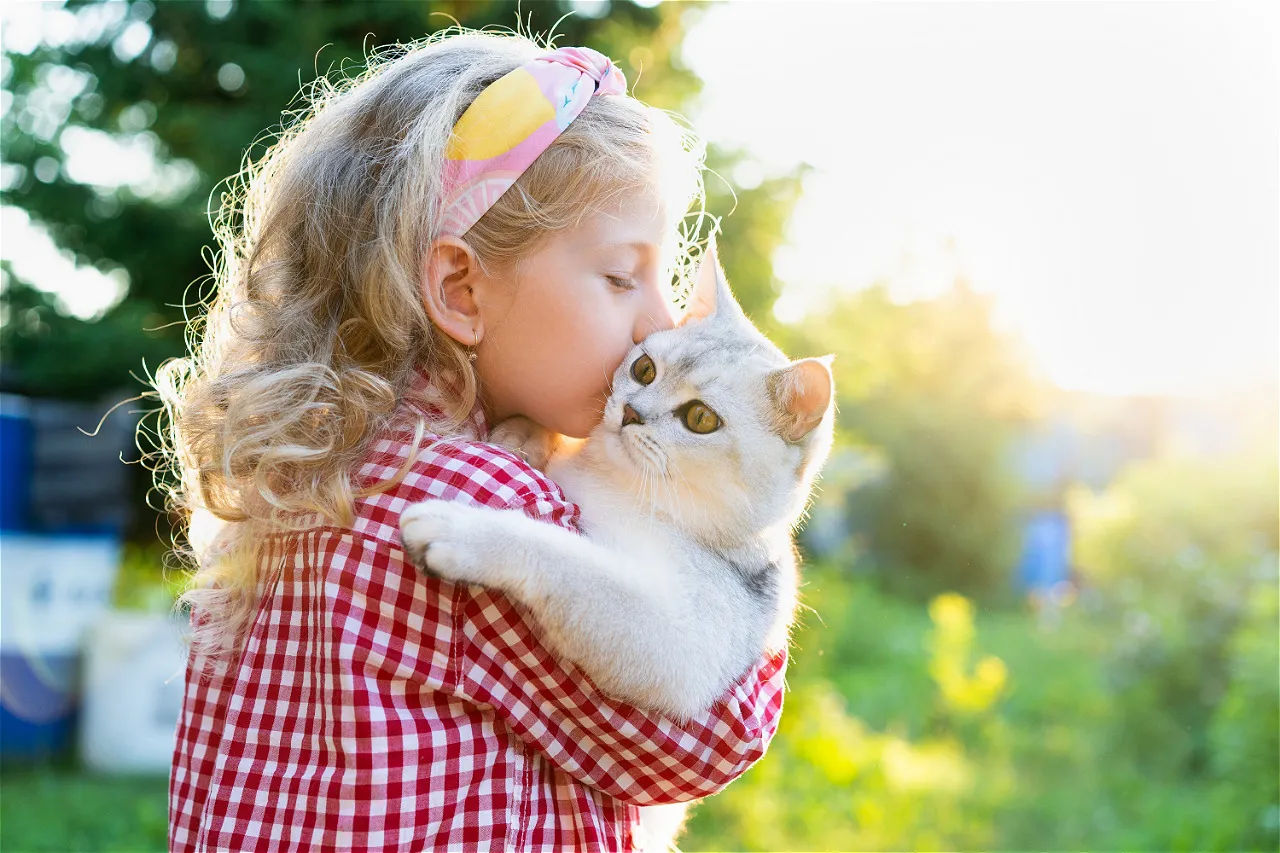 Кошка для семьи с детьми: 5 пород, которые не пугаются шума и любят быть рядом с человеком