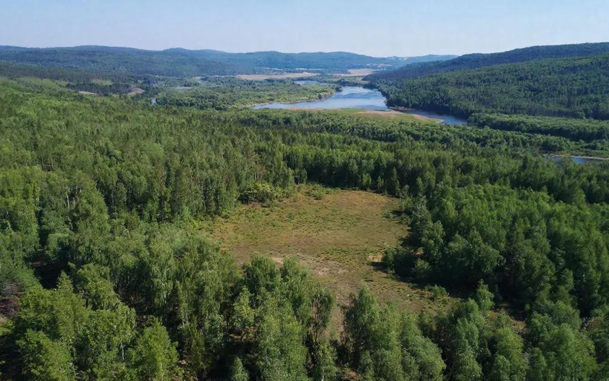 Два участка земли площадью 570 тыс. кв. м незаконно сформировали в Удмуртии