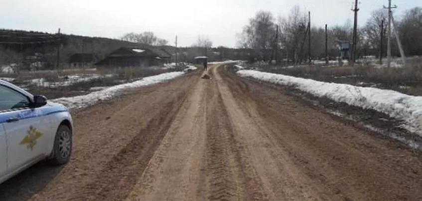 Пьяный водитель насмерть сбил пешехода в Алнашском районе