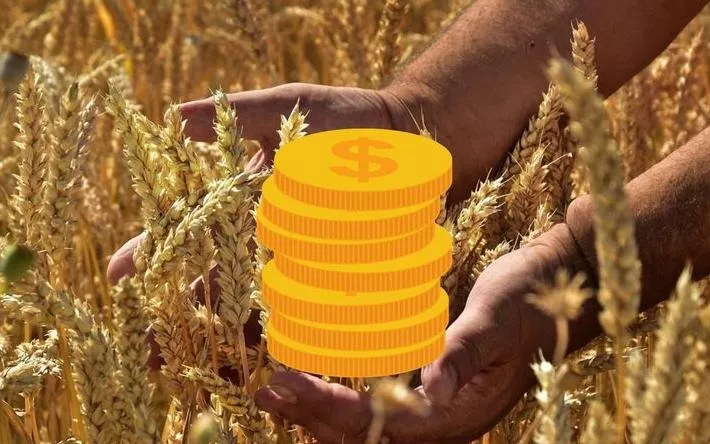 Экс-главу крестьянского хозяйства в Удмуртии обвиняют в мошенничестве на 5 млн рублей