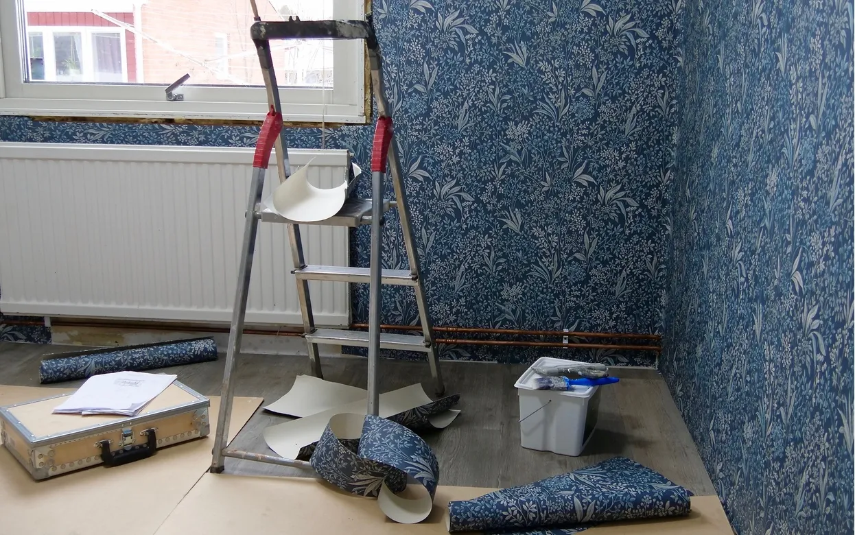 Сам себе дизайнер: как переклеить обои и не превратить квартиру в стройку на полгода