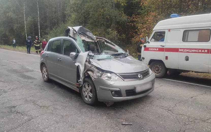 Мужчина и женщина пострадали в ДТП с лосем в Удмуртии