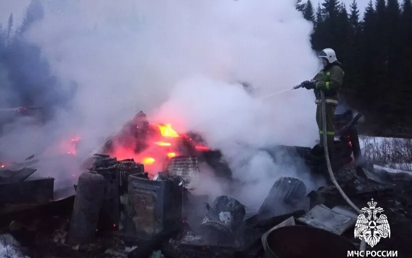 Пожар в Завьяловском районе унес жизнь 66-летнего мужчины