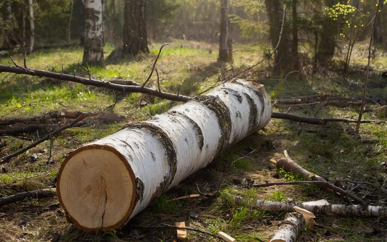 Не нарушайте это 11 апреля: приметы Великой субботы и Маркова дня