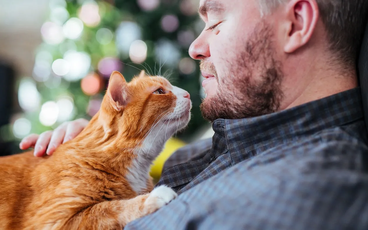 «Мяу, это судьба»: астролог рассказал, какая кошка станет идеальным питомцем для вашего знака зодиака