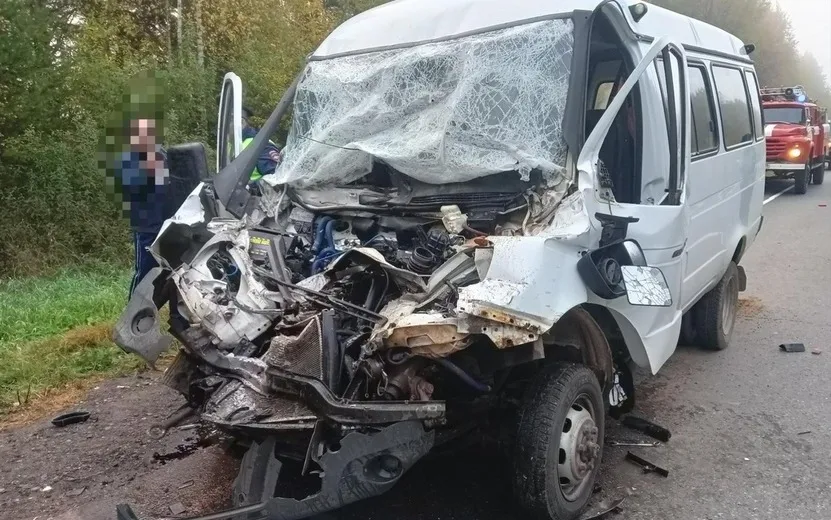 Водитель микроавтобуса пострадал в столкновении с фурой под Ижевском