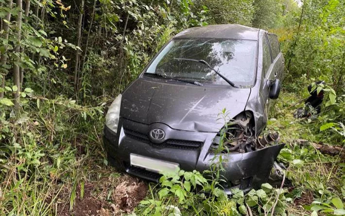 Два 9-летних мальчика пострадали на дороге Воткинск – Чайковский