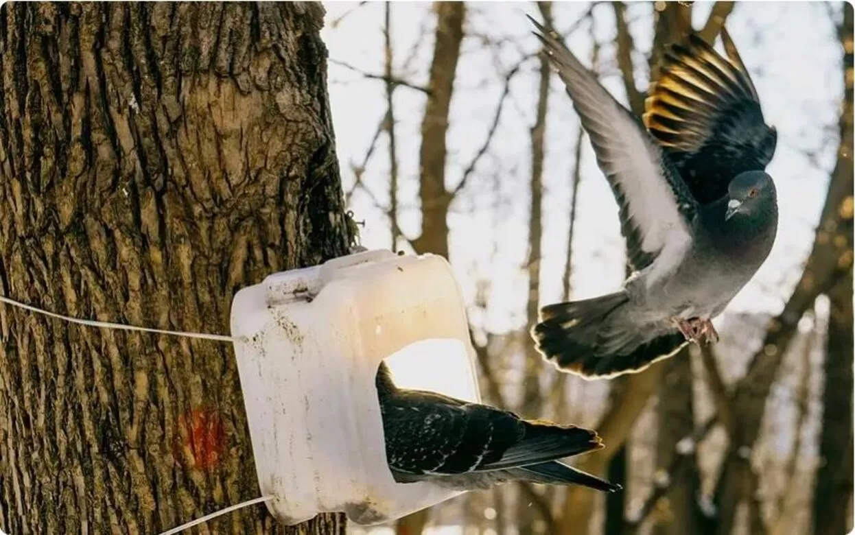 Главные новости Ижевска на утро 18 ноября: гибель в ДТП и рост поступлений в бюджет