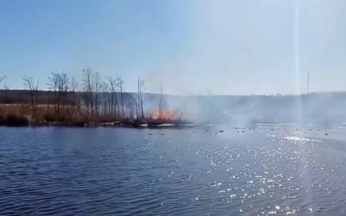 Пожар площадью 5 га тушат на берегу пруда в Ижевске