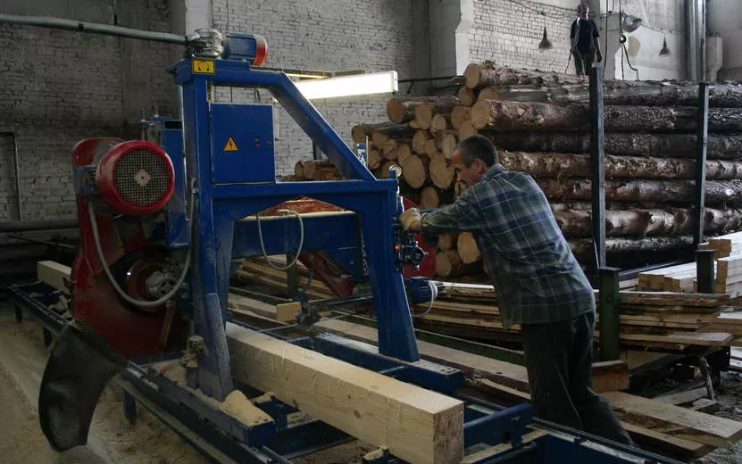 Удмуртия вошла в число лидеров по росту заготовки древесины