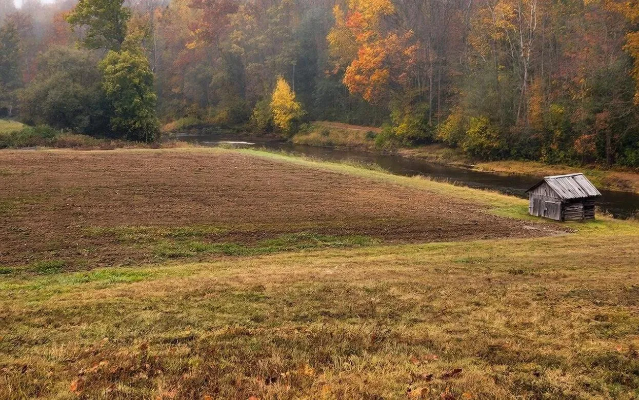 Незаконно переданный земельный участок вернули в муниципальную собственность в Удмуртии