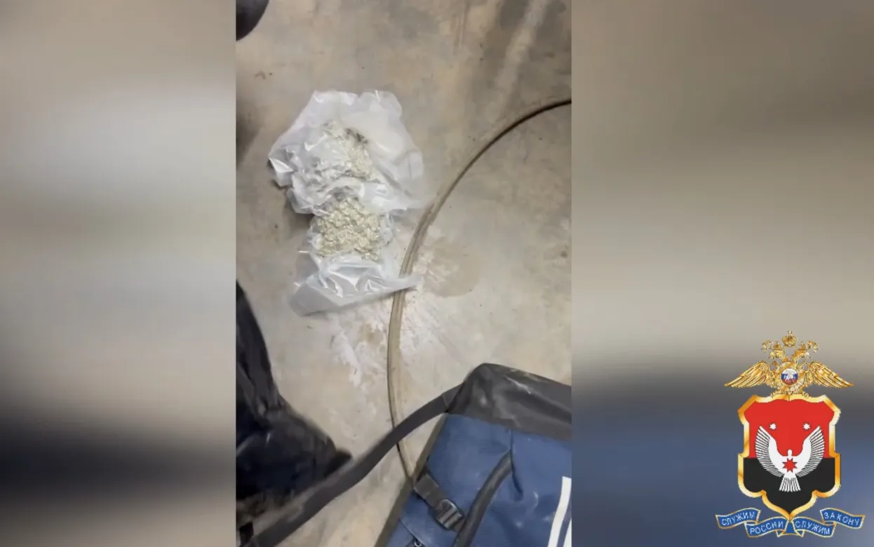 Жителя Сарапула задержали с четырьмя упаковками «каннабис»