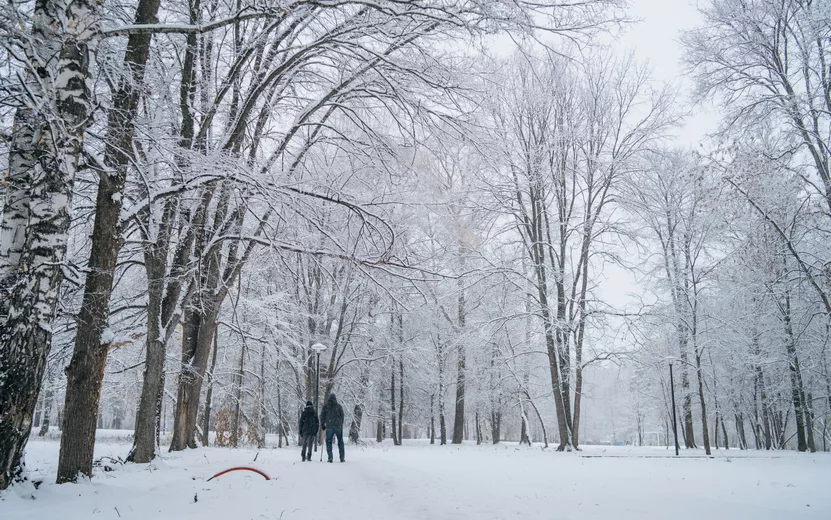 Погода в Ижевске на день: 2 ноября ждем снег с дождем и до +5°С