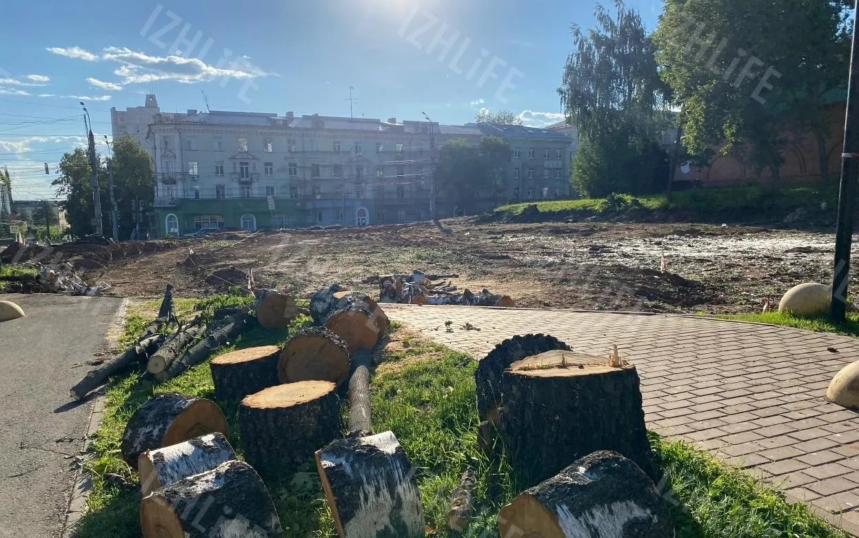 Фотофакт: деревья вырубили около Троицкого собора в Ижевске