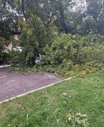Улица Парковая, фото: Анна Данилова, vk.ru/radio_adam
