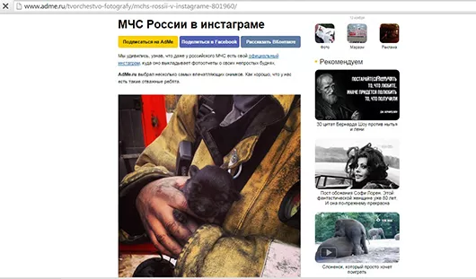 Ижевский щенок, спасенный при пожаре в «Италмасе», стал звездой Интернета