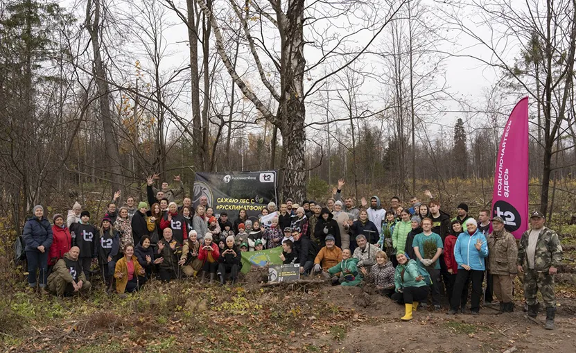 14 тысяч сеянцев ели высадили в Удмуртии