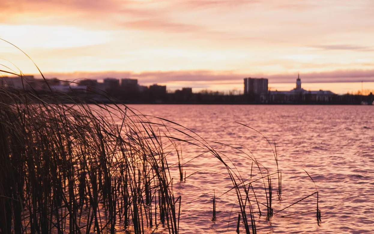 Погода в Ижевске на день: 11 ноября ждем солнце и до +3°С