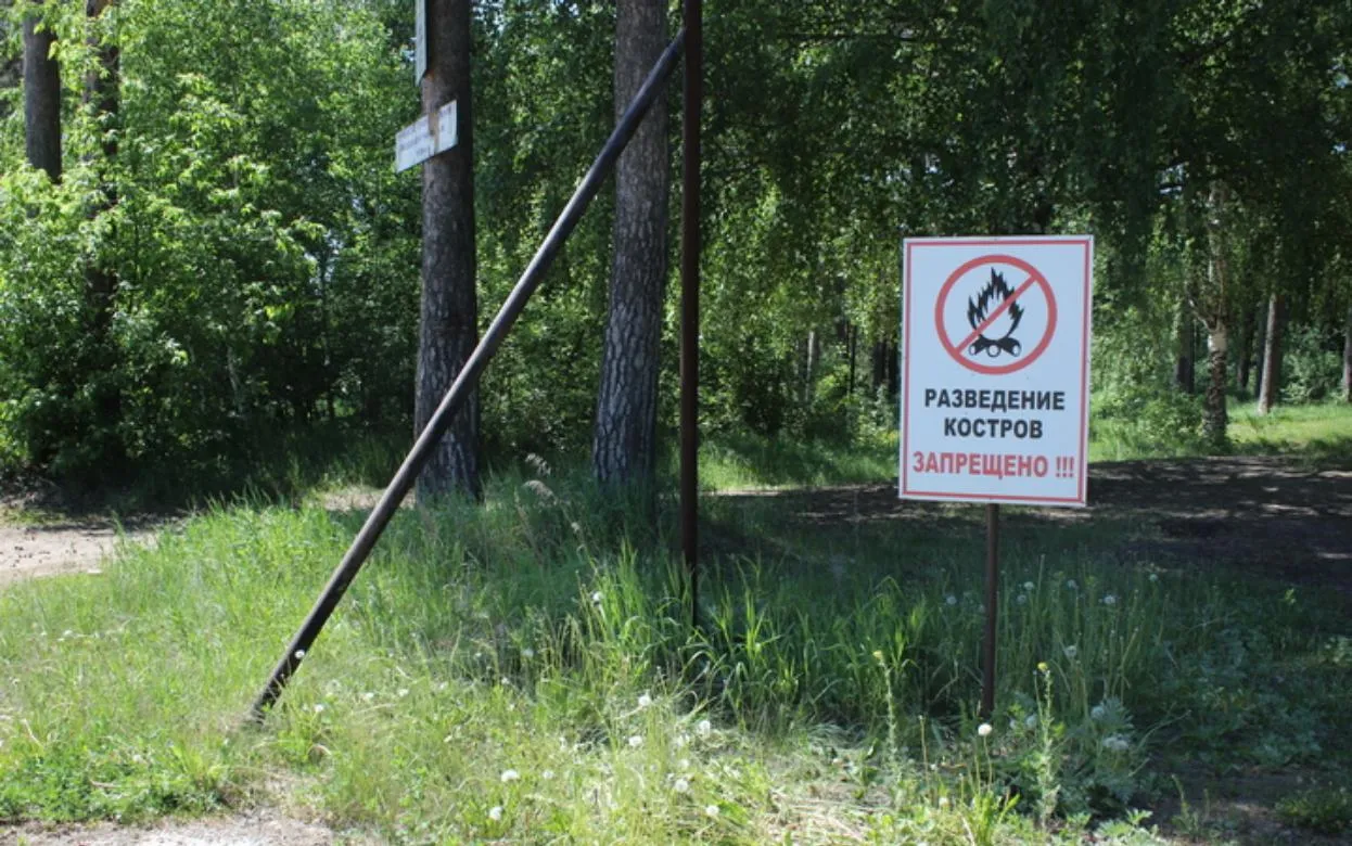 Особый противопожарный режим введут в Удмуртии с 1 мая