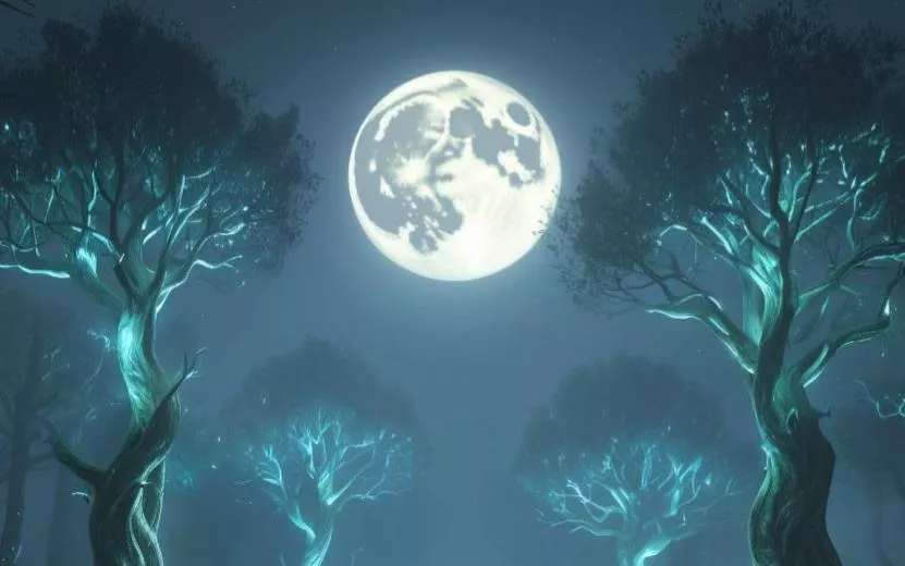 Новый взгляд: гороскоп на 29 июля 2025